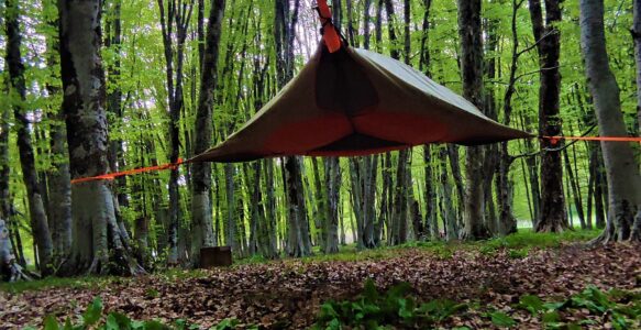 Camping e pic-nic